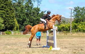 Nitro Mahuika Nitro Equine