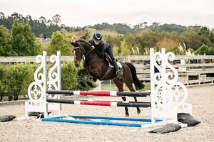 Products: Glenvar Sweet Harmony Nitro Equine