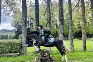 Products: Nitro's Pocahontas Nitro Equine