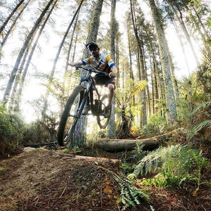 Custom Plan & Consultation MTB PhD