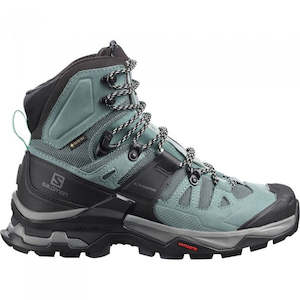 Hiking Mountaineering Boots: Quest 4 GTX W
