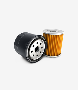 Products: Car Engine Plug