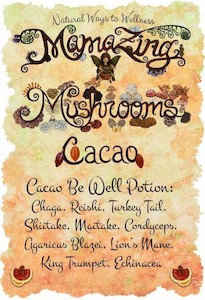 Products: Cacao Mushroom Be Well Potion