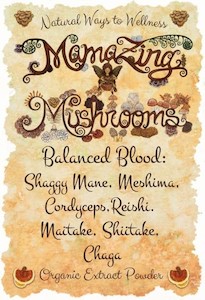 Products: Balanced Blood Mushroom Potion- MamaZing