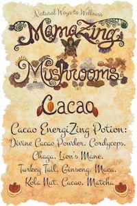Products: Cacao Mushroom EnergiZing Potion