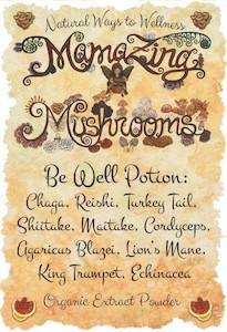 Products: Be Well Potion – MamaZing Mushrooms Wellbeing
