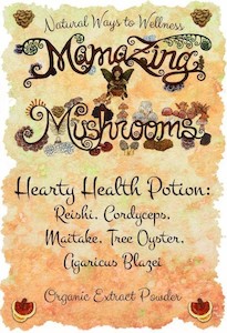 Hearty Health Potion – MamaZing Mushrooms