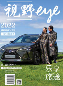 Chinese Eye Collector's Edition 6