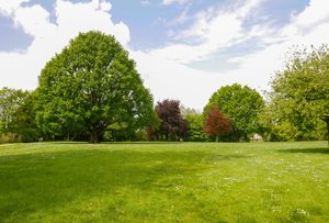 Delivered – Ultimate Garden & Lawn Pack 2x1kg Garden Fertiliser 2x1kg Lawn Fertiliser