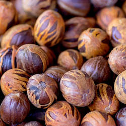 Essential Oils: Nutmeg Essential Oil 5ML