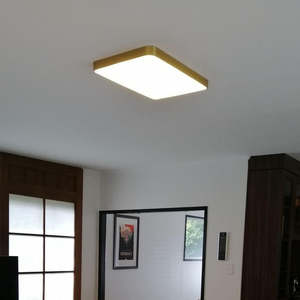 Ceiling Mount: Plano Rectangular Ceiling Light