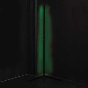 Lamps: Neon Floor Lamp