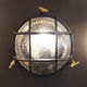 Skerries Ceiling/Wall Light Black