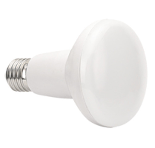 Products: R80 LED lamp - Our DIY Garden Lights NZ