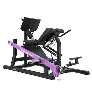 Machines: Peach Multi Hip Extension