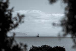 Richard Brimer: TALL SHIP