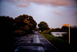 Richard Brimer: PIPI STREET II