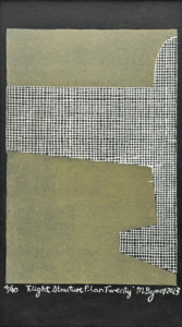 Michele Bryant: FLIGHT STRUCTURE PLAN TWENTY