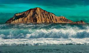 Cathy Carter: MOTU-O-KURA WAVES 2021