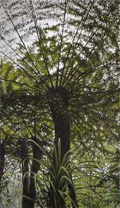 Neal Palmer: RADIAL FILTER