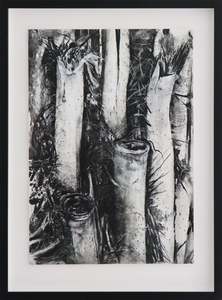 #61 PONGA TRUNK