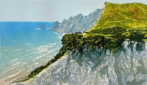 Nicola Tucker: CAPE KIDNAPPERS, 2023