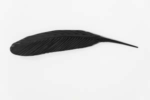 TUI COPPER FEATHER (49 CM)