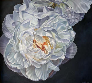 THE DREAMS THAT YOU DREAMED OF