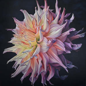 SOMEWHERE OVER THE RAINBOW