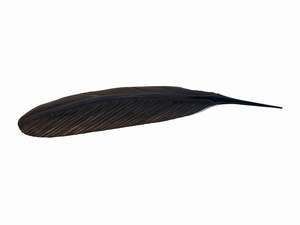 Mat Scott: TUI ONO COPPER FEATHER (77 CM)