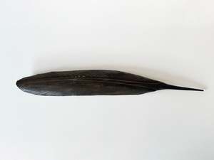 Mat Scott: COPPER TUI TORO FEATHER 2025 - (55 CM)