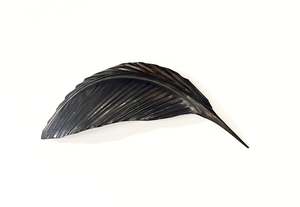 Mat Scott: TUI WHA COPPER FEATHER (38 CM)