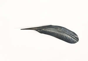 Mat Scott: TUI TAHA COPPER FEATHER (32 CM)