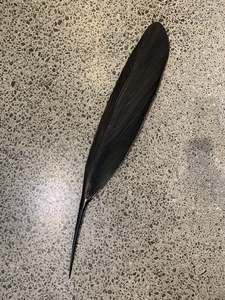 COPPER TUI FEATHER - (130 CM)