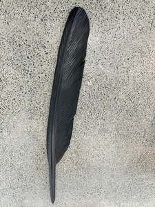 Mat Scott: TUI FEATHER - (232 CM)