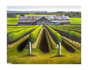 Josh Lancaster: TE MATA WOOLSHED, 2023 (PRINT)