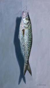 Under 1500: STUDY FOR KAHAWAI