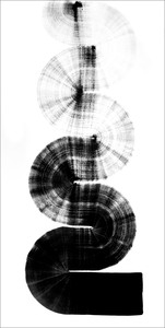 Helen Reynolds: B 1.179