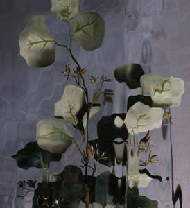 Catherine Cattanach: FLUX #28