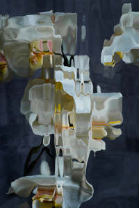 Catherine Cattanach: FLUX #31