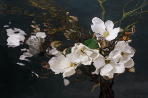 Catherine Cattanach: FLUX #24