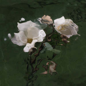 Catherine Cattanach: FLUX #11