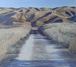 Helen Ollivier: OTAGO RAIL TRAIL HILLS