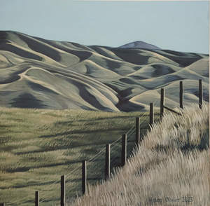 Helen Ollivier: OTAGO RAIL TRAIL SHADOWS