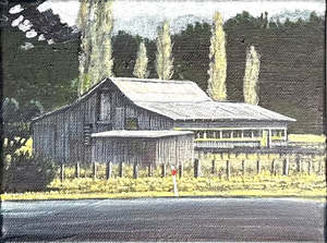 Affordable Art Show 2024: TAIHAPE SHED