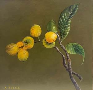 LOQUAT