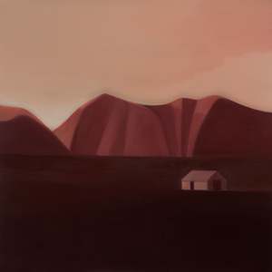 Sean Beldon: THE WOOLSHED (NEAR SEDDON)