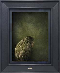 Jae Frew: KĀKĀPŌ NO.1