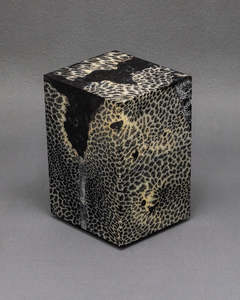 Chauncey Flay: SEAWALL 23