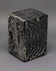 Chauncey Flay: SEAWALL 50